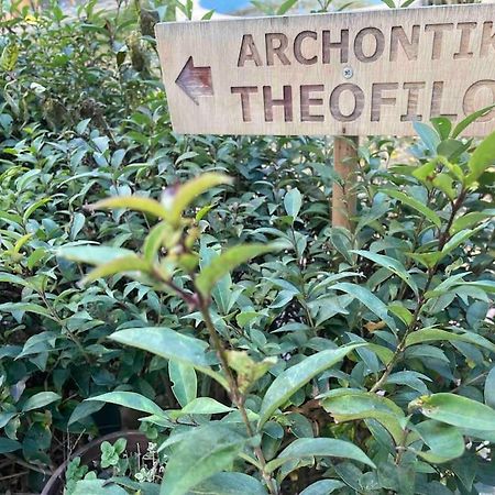 테살로니키 Archontiko Theofilou #2 With Private Parking Space 아파트 외부 사진