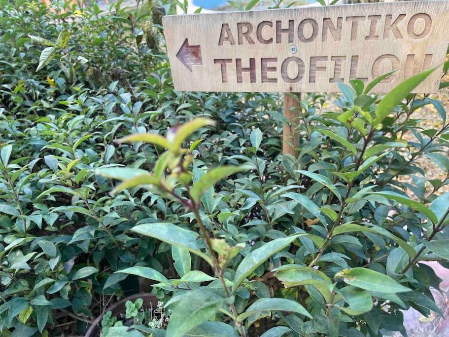 테살로니키 Archontiko Theofilou #2 With Private Parking Space 아파트 외부 사진